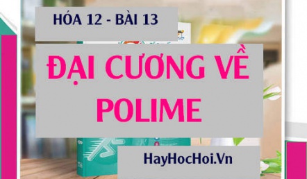 Tính chất hóa học của Polime, Cách điều chế và Ứng dụng của Polime - Hóa 12 bài 13